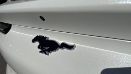 2021 Ford Mustang Mach E 3FMTK1SS8MMA61431