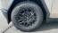 2024 Tesla Cybertruck - Images - 4