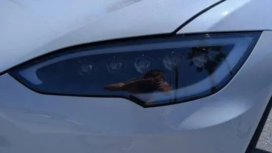 2020 Tesla Model S 5YJSA1E22LF358003