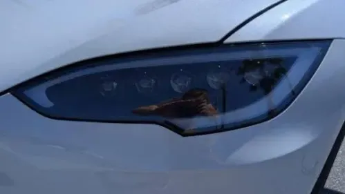 2020 Tesla Model S 5YJSA1E22LF358003