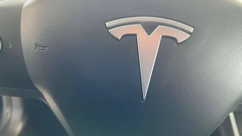 2020 Tesla Model 3 5YJ3E1EA2LF745697