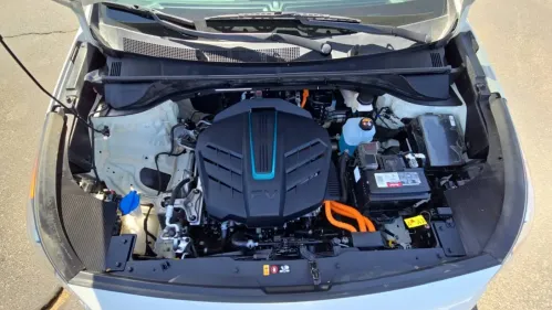 2019 Kia NIRO EV KNDCC3LG4K5025763