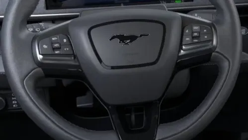 2025 Ford Mustang Mach E 3FMTK1S5XSMA21116