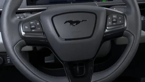 2025 Ford Mustang Mach E 3FMTK3S54SMA21169