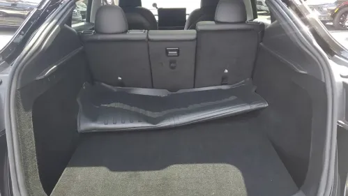 2024 Tesla Model Y 7SAYGDED5RF055501