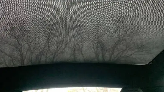 2023 Tesla Model S 5YJSA1E59PF513095