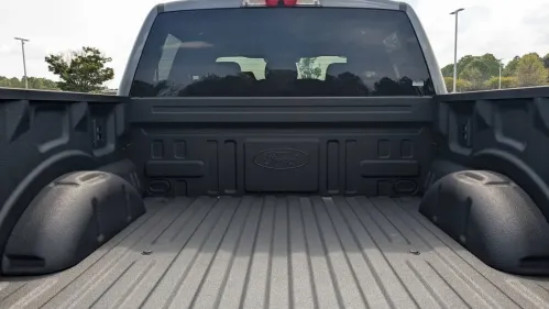 2025 Ford F-150 Lightning 1FTVW3LKXSWG00298
