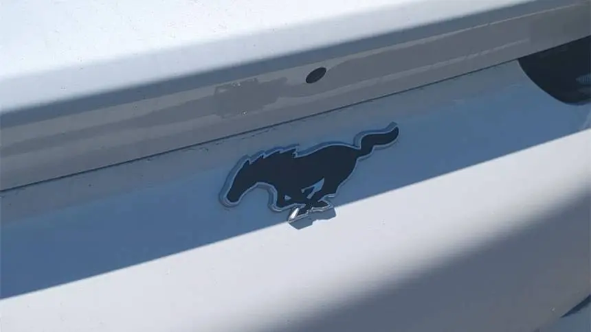 2024 Ford Mustang Mach E 3FMTK3SU6RMA10580