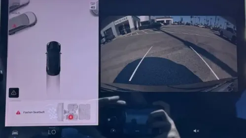 2020 Tesla Model 3 5YJ3E1EA6LF629810