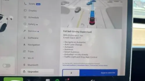 2021 Tesla Model 3 5YJ3E1EB7MF974015