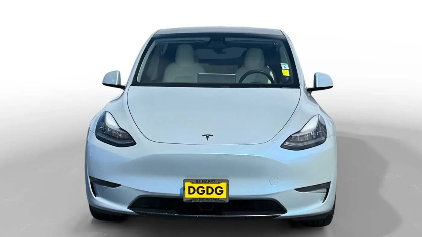 2020 Tesla Model Y 5YJYGDEE8LF055800