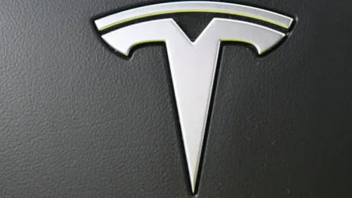 2020 Tesla Model 3 5YJ3E1EA9LF659819