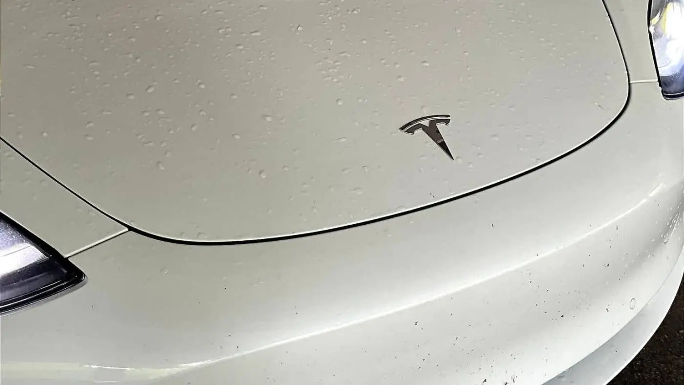 2021 Tesla Model 3 5YJ3E1EA4MF016411