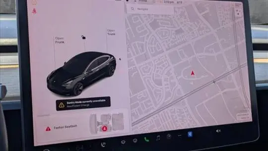 2019 Tesla Model 3 5YJ3E1EA5KF305553