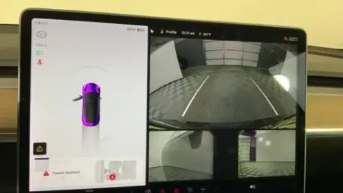 2021 Tesla Model 3 5YJ3E1EB9MF061756
