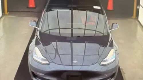 2019 Tesla Model 3 5YJ3E1EA1KF411255