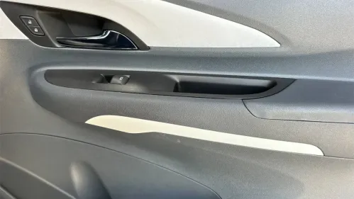 2020 Chevrolet Bolt 1G1FY6S09L4122316