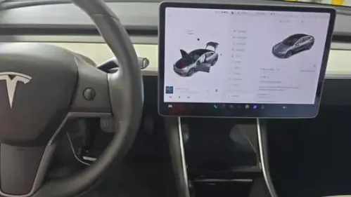 2020 Tesla Model 3 5YJ3E1EA0LF769898