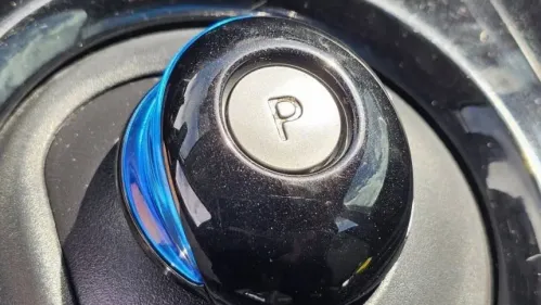 2020 Nissan LEAF 1N4AZ1CP9LC306678