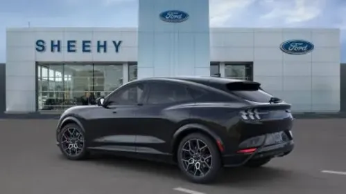 2025 Ford Mustang Mach E 3FMTK4SX7SMA15096