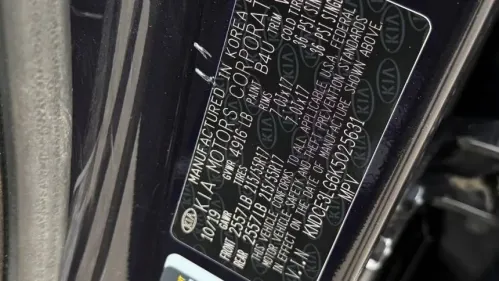 2019 Kia NIRO EV KNDCE3LG6K5025631