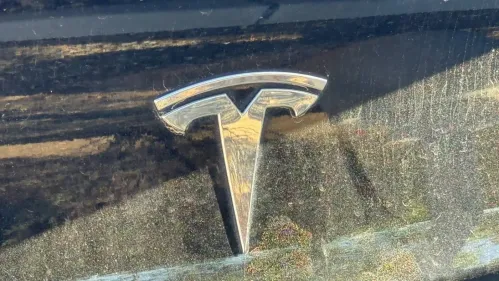 2019 Tesla Model 3 5YJ3E1EA1KF395834