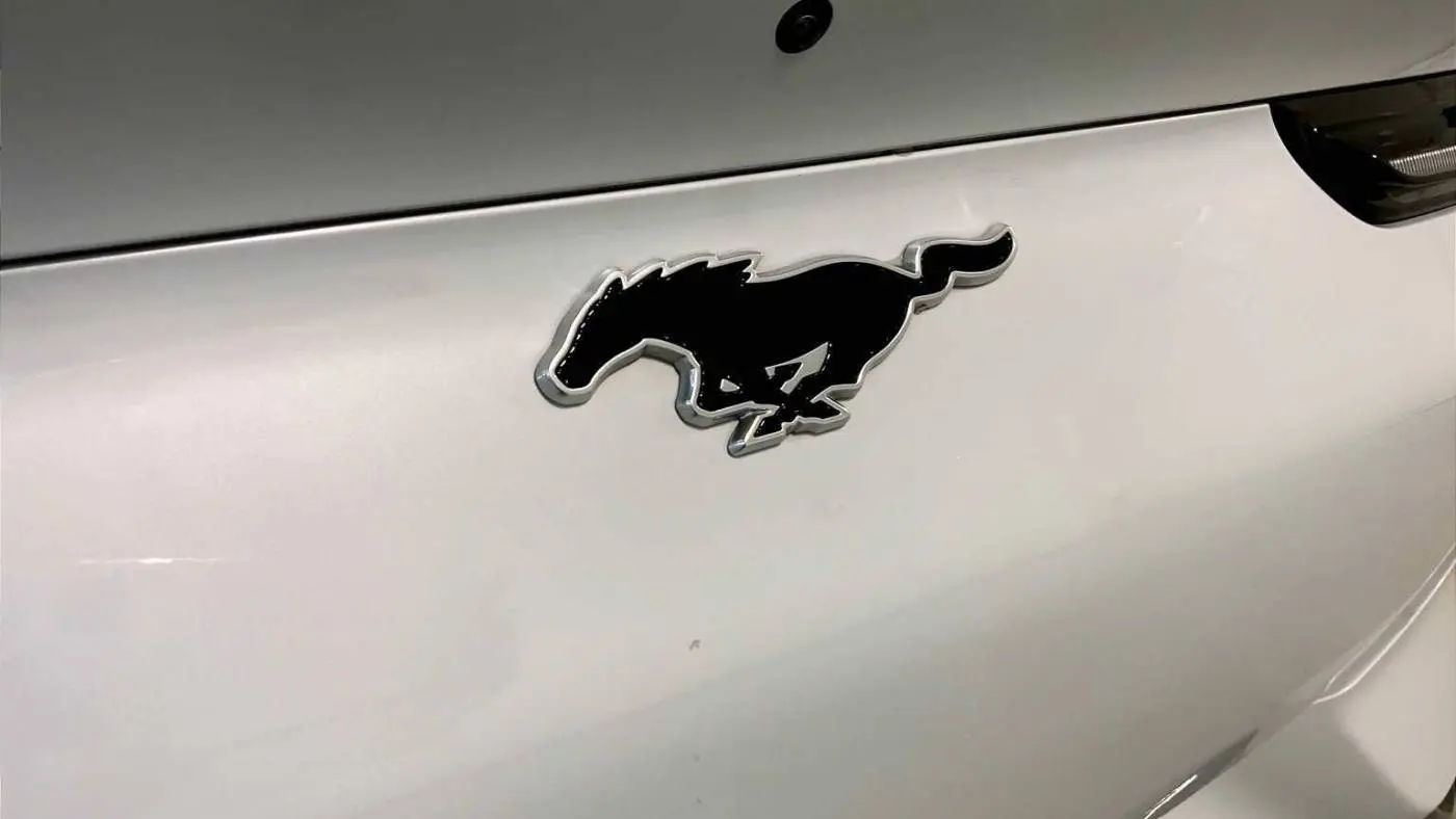 2021 Ford Mustang Mach E 3FMTK3SU4MMA03491