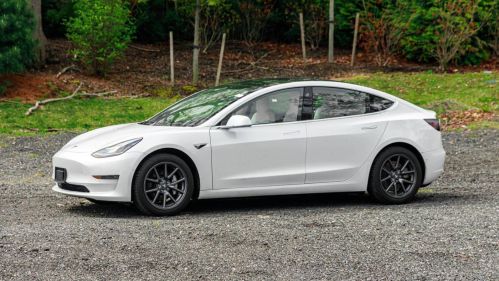2020 Tesla Model 3 5YJ3E1EA6LF509554