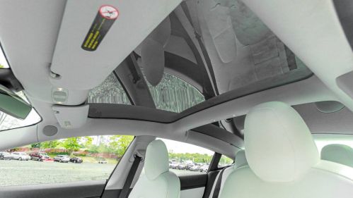 2020 Tesla Model 3 5YJ3E1EA6LF509554