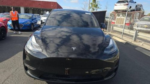 2023 Tesla Model Y 7SAYGDEF7PF900265