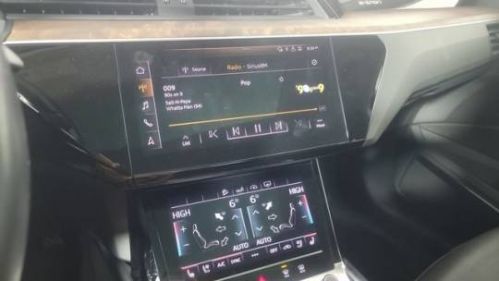 2020 Audi e-tron WA12ABGEXLB033013
