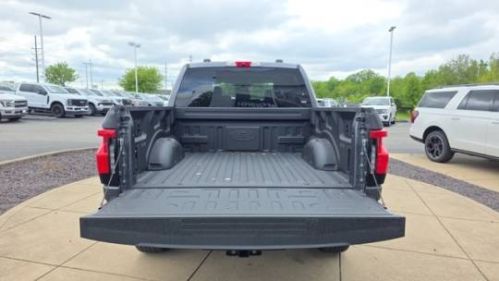 2025 Ford F-150 Lightning 1FTVW3LU7SWG09199