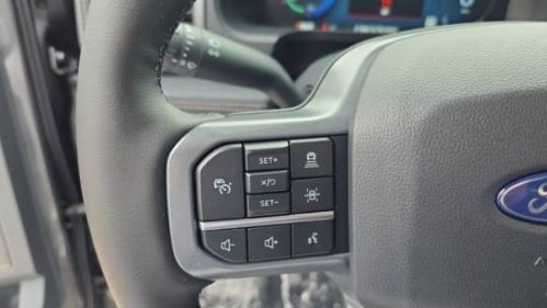 2025 Ford F-150 Lightning 1FTVW3LU7SWG09199