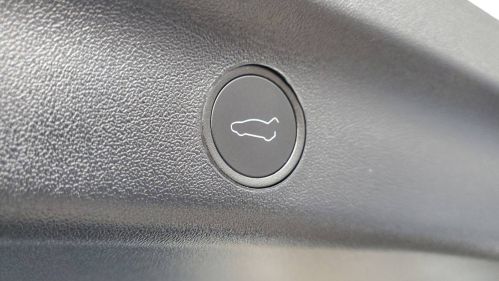 2024 Tesla Model Y 7SAYGDEE5RA319046