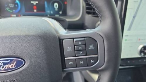 2025 Ford F-150 Lightning 1FT6W3L76SWG02162