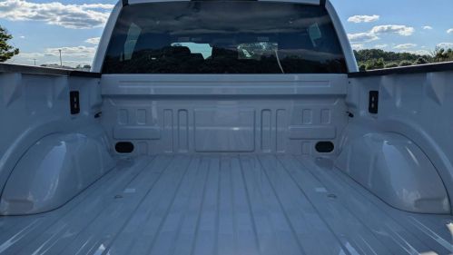 2025 Ford F-150 Lightning 1FTVW3LU0SWG10761