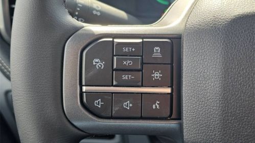 2025 Ford F-150 Lightning 1FT6W3L77SWG00484