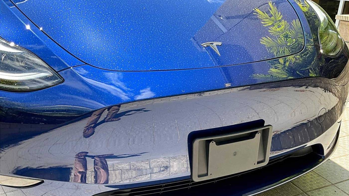 2023 Tesla Model Y 7SAYGAEE1PF939780