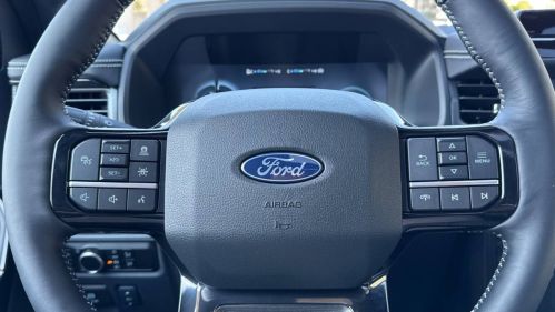 2025 Ford F-150 Lightning - Images - 22
