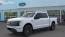 2025 Ford F-150 Lightning