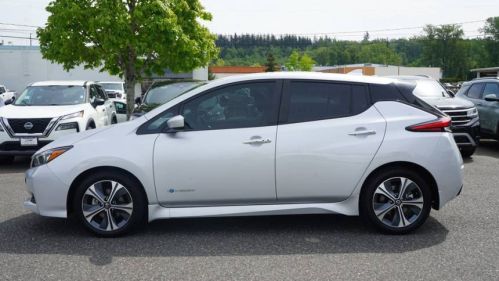 2019 Nissan LEAF - Images - 4