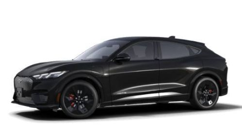 2025 Ford Mustang Mach E 3FMTK4SX8SMA29296