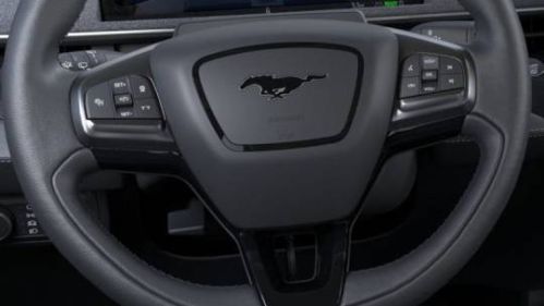 2025 Ford Mustang Mach E 3FMTK3R46SMA24720