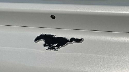 2023 Ford Mustang Mach E 3FMTK1R49PMA62888
