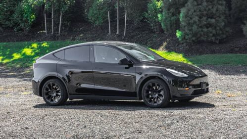 2021 Tesla Model Y 5YJYGDEE5MF253848