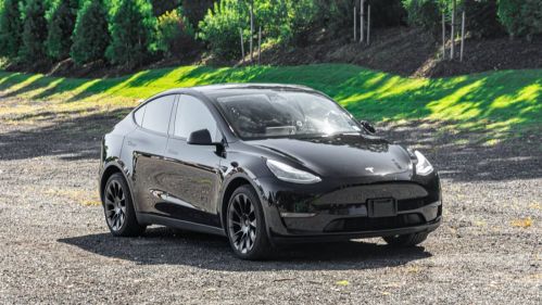 2021 Tesla Model Y 5YJYGDEE5MF253848