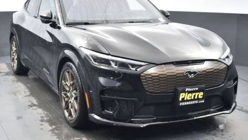 2025 Ford Mustang Mach E - Images - 19