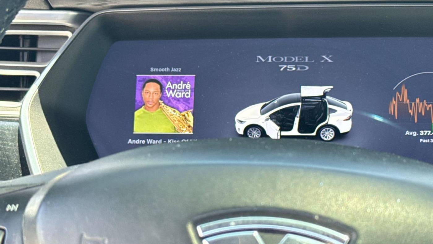 2016 Tesla Model X 5YJXCAE25GF015241