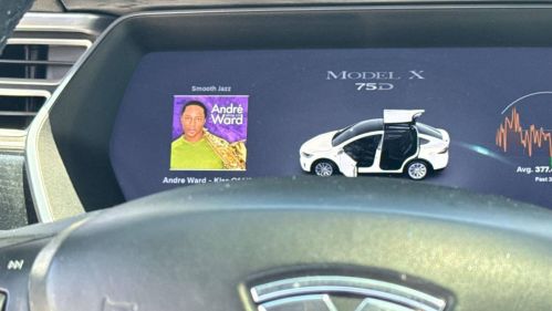 2016 Tesla Model X 5YJXCAE25GF015241