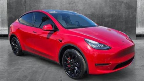 2022 Tesla Model Y - Images - 3